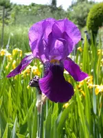 DSCN6308.webp