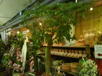 DSC00306.webp
