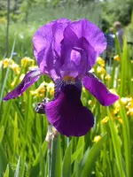 DSCN6309.webp