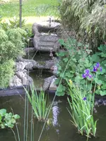 102_4547.webp