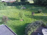 Bild3.webp