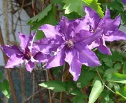P1060200_600_492.webp
