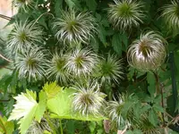 P1060183_600_450.webp