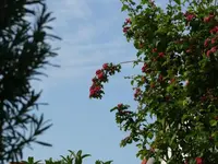 P1060177_600_450.webp