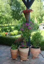 Kübel auf Terrasse2_klein.webp