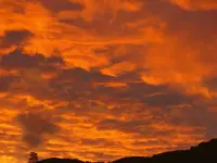 Feuer!!!.webp