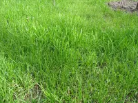 2009-05-12_17.12.02.webp