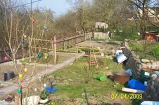 100_1405.webp