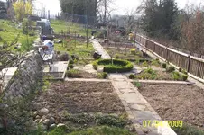 100_1407.webp
