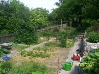 Garten Ende Mai 2.webp