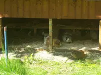 100_1707.webp
