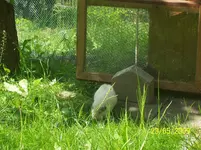 100_1709.webp