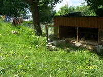 100_1722.webp