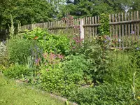 Garten Mai07 003.webp