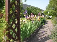 Garten Mai07 008.webp