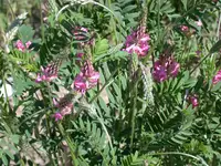 DSCN6312.webp