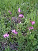 090421_0038.webp