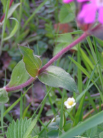 090421_0042.webp