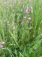 090512_0023.webp