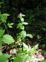 090522_0068.webp