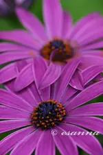 garten 2003-2005-016_w.webp
