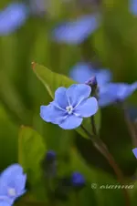 IMG_0903_w.webp