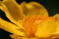 IMG_1480_w.webp