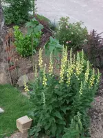 DSCF6930.webp