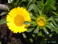PICT2318.webp