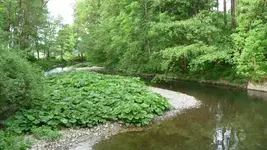 K800_Mai2009 035.webp