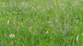K800_Mai2009 056.webp
