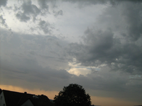 IMG_1719.webp