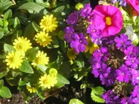 Ausschnitt aus Blumenkübel3.webp