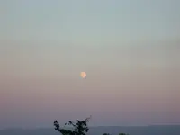 Mond.webp