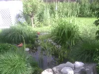PIC00977.webp