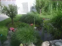 PIC00978.webp