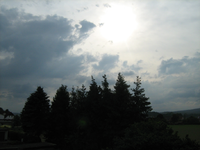 IMG_1726.webp
