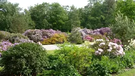 K800_Rhodo-Park Graal-Müritz 001.webp