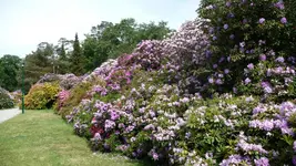 K800_Rhodo-Park Graal-Müritz 008.webp