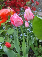 SA500178.webp