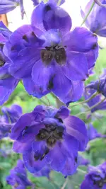 000023 (2).webp