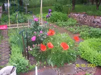 100_1738.webp