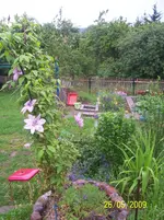 100_1744.webp
