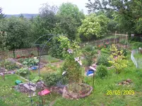 100_1745.webp