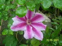100_1736.webp