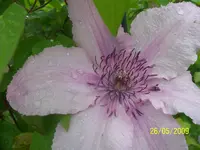100_1737.webp