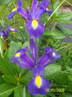 100_1746.webp