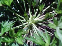 BILD0040 (2).webp