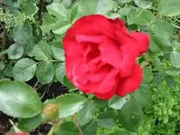 grandhotel_27_05_2009.webp