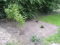 Garten 007.webp